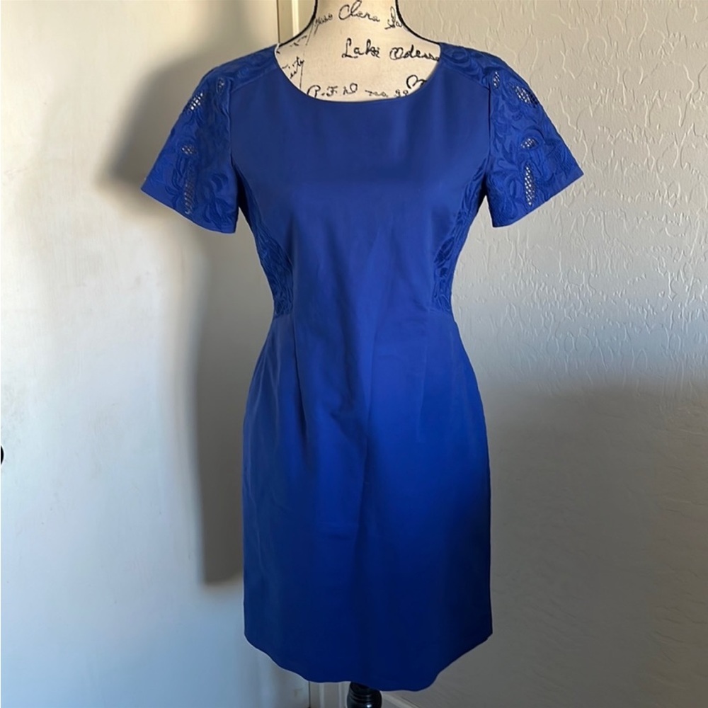 Antonio Melani blue with lace detail dress size 2